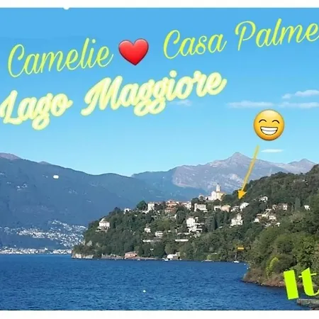 Casa Le Palme Pino Lago Maggiore