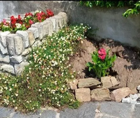 Casa Le Palme Holiday home Pino Lago Maggiore
